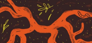 Atividade para a volta às aulas: Investigando túneis de minhocas