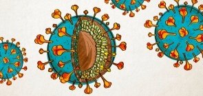 PÔSTER: explore cada nanômetro de um coronavírus