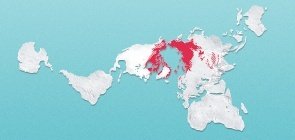 3 saídas para desafios dos professores de Ciências na era das fake news