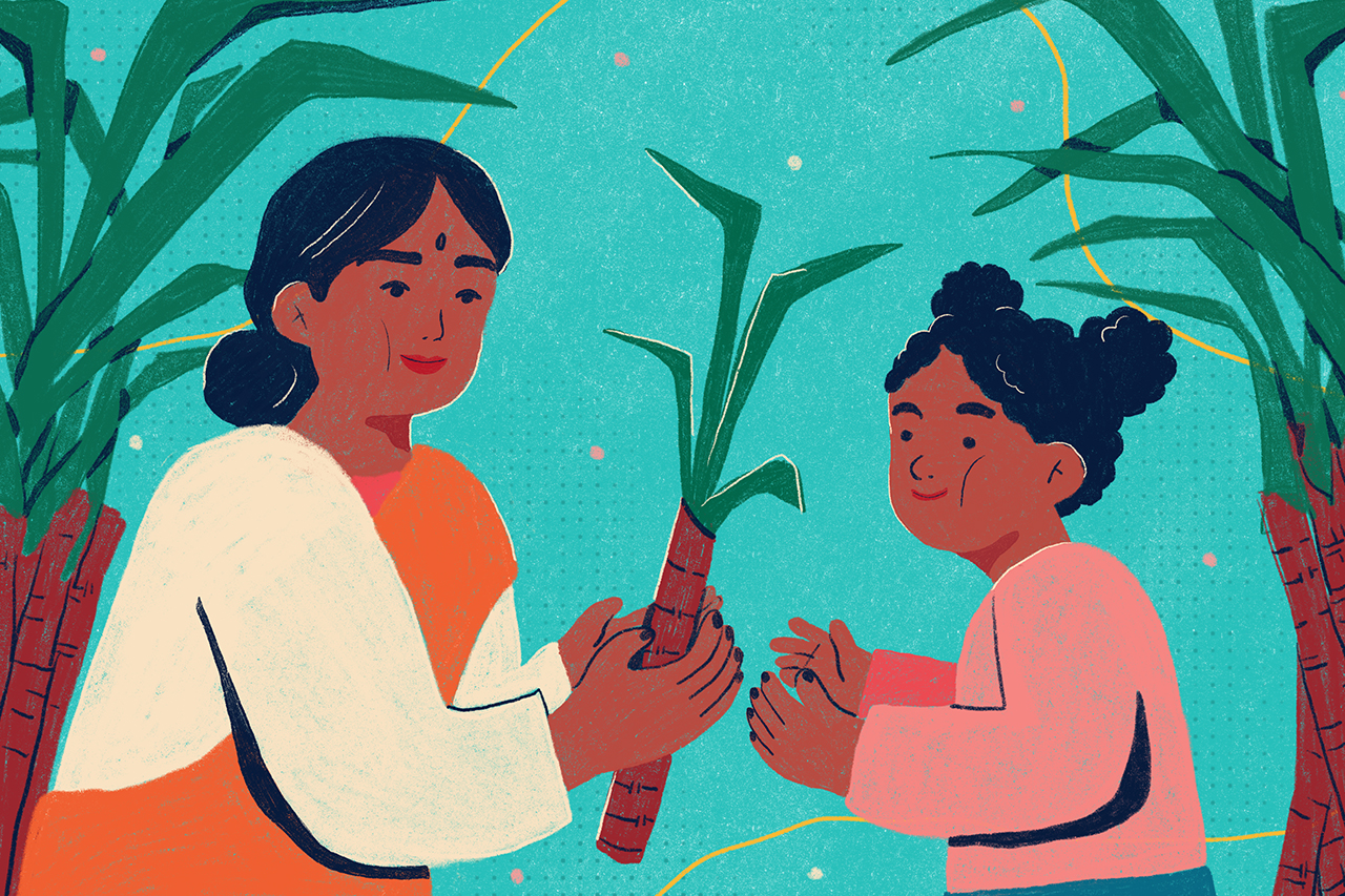 Ilustra&ccedil;&atilde;o de Janaki Amal.