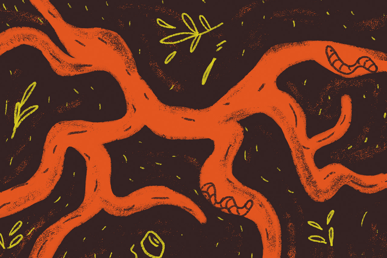 Ilustra&ccedil;&atilde;o abstrata de minhocas embaixo da terra