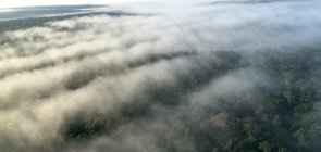 Leve os rios voadores da Amazônia para a aula de Geografia