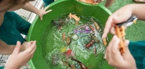 Afunda ou flutua? Uma sugestão para brincar e experimentar 