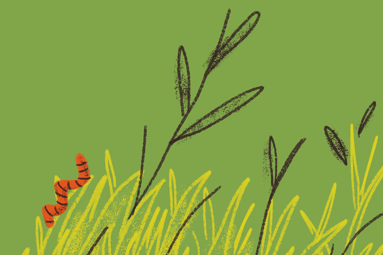 Ilustra&ccedil;&atilde;o de minhocas sobre filhas e plantas