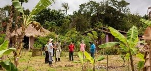 Anel de gestão emergencial, uma estratégia coletiva para lidar com a crise