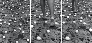 Obra de Anna Maria Maiolino, fotos em branco e preto de uma pessoa andando na terra, apenas são vistos os pes