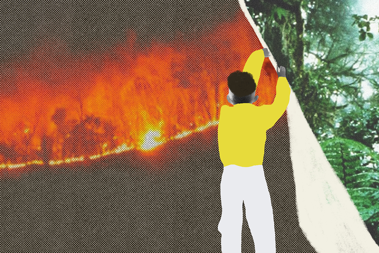 Ilustra&ccedil;&atilde;o abstrata de aluno revelando uma cena de matas verdes abaixo de uma cena de queimadas.