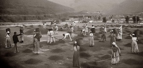 O que aconteceu após a abolição da escravidão? Aprofunde-se no tema com a sua turma