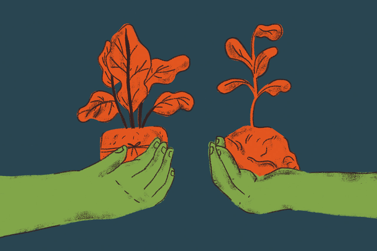 Ilustra&ccedil;&atilde;o de duas m&atilde;os segurando brotos e ra&iacute;zes de flores