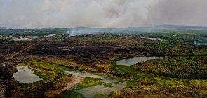 Pantanal: Materiais para entender as queimadas e abordá-las em três disciplinas