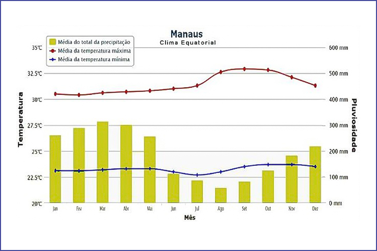 Gr&aacute;fico sobre a m&eacute;dia de temperatura em Manaus.