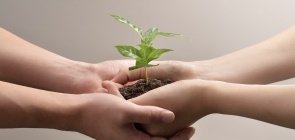 Duas mãos em concha com puhado de terra e muda de planta no meio