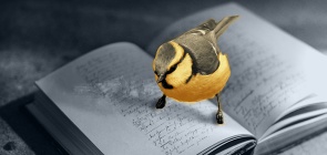 Atividade: Leitura compartilhada para refletir sobre perdas com os adolescentes