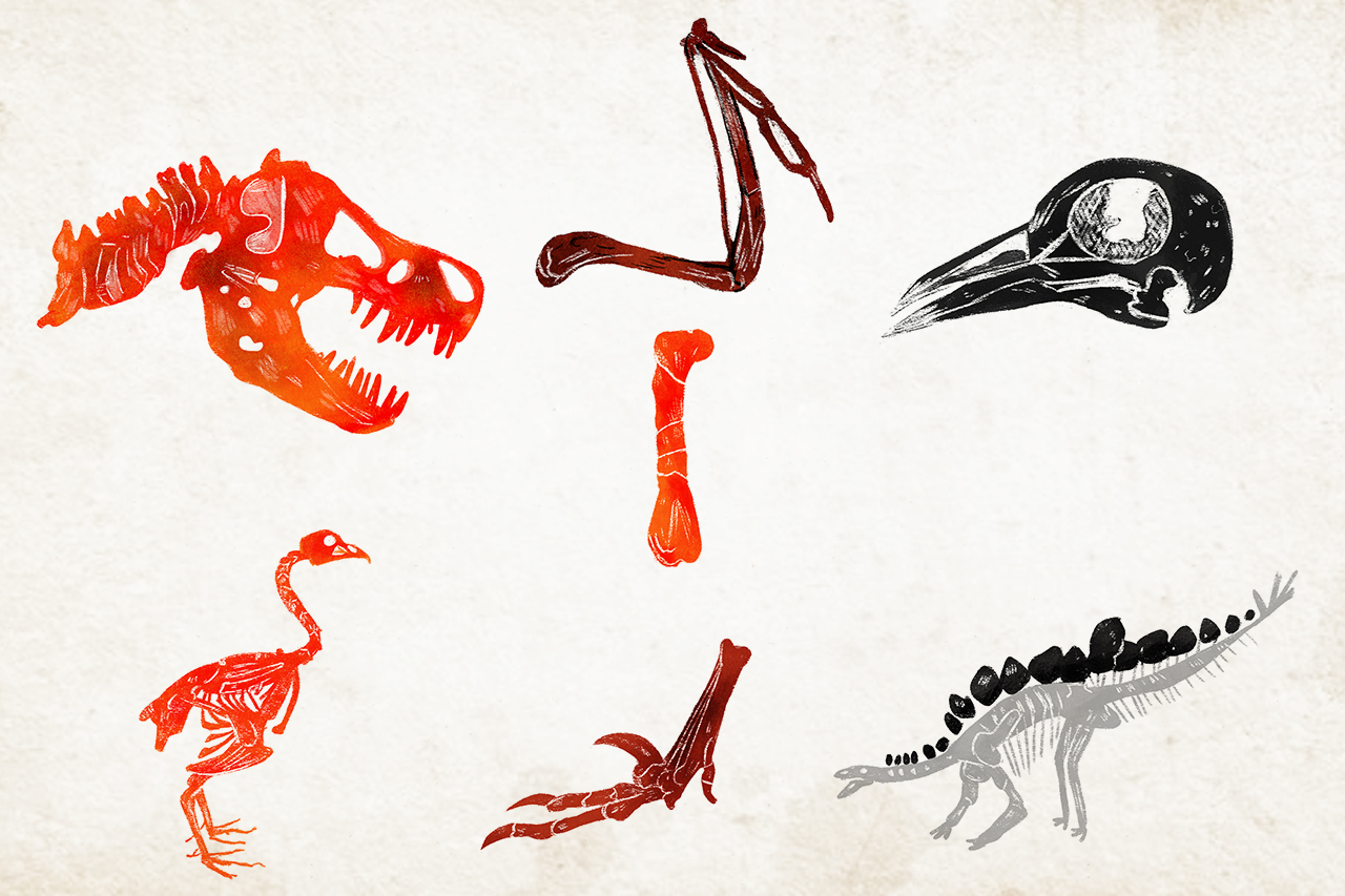 Ilustra&ccedil;&atilde;o de f&oacute;sseis e ossadas de dinossauros.