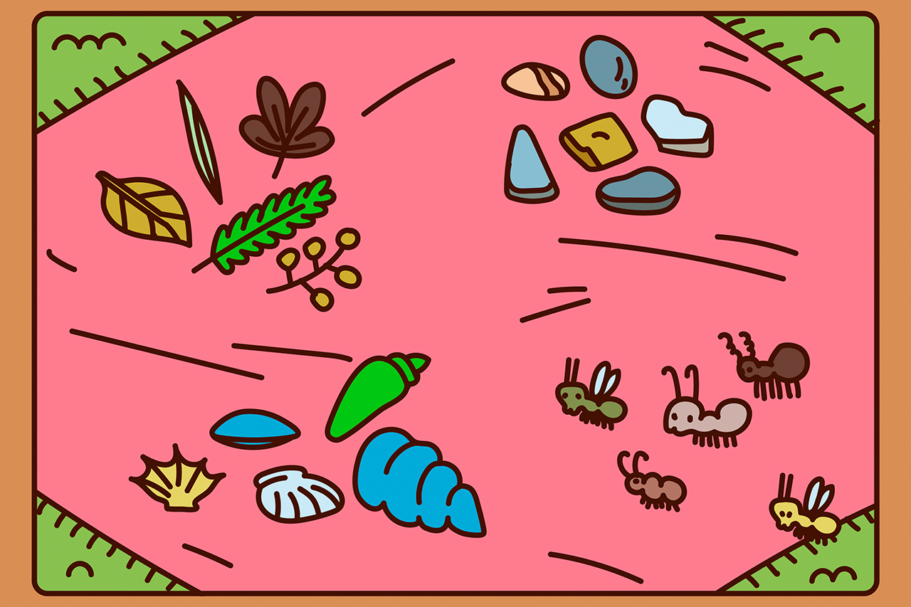 As diferentes folhas e plantas, a variedade nas pedras e cascalhos sob nossos p&eacute;s: a natureza est&aacute; repleta de agrupamentos sortidos para explorar com os pequenos.