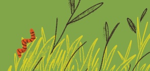 5 estratégias para ressignificar atividades na horta da escola à luz das competências gerais da BNCC