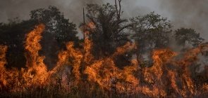 Sugestão de Atividade: Queimadas na aula de Geografia 