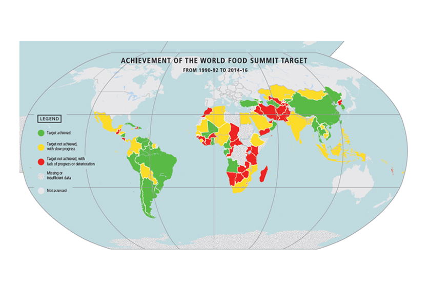 Achievement of the world food summit target