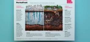 Infográfico: o que tem dentro do permafrost? 