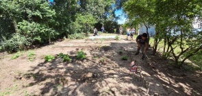 Foto de professor e alunos cuidando de uma horta escolar