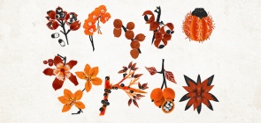 Contato com a natureza e atividades ao ar livre: uma boa opção para os alunos em meio à pandemia