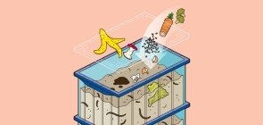 Guia completo para construir um minhocário