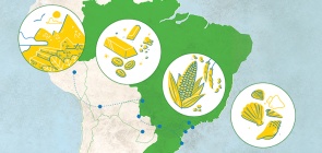 Infográfico: Reflita sobre mobilidade a partir dos caminhos indígenas