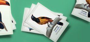 EXTRA: Jogo da memória das aves brasileiras