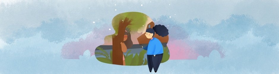 BNCC para História: entenda os objetivos de aprendizagem