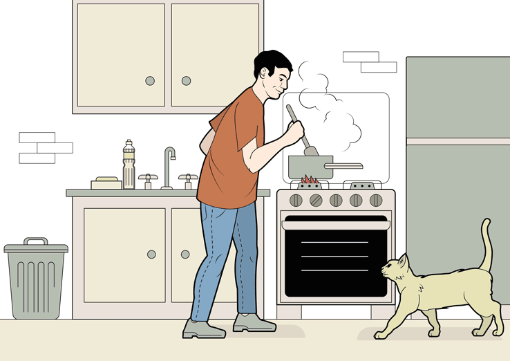 Ilustra&ccedil;&atilde;o de homem cozinhando enquanto um gato passa pr&oacute;ximo a ele. S&iacute;mbolos e &iacute;cones mostram a&ccedil;&otilde;es qu&iacute;micas e f&iacute;sicas que acontecem nestas a&ccedil;&otilde;es.