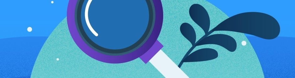 Livros, artigos e vídeos para saber mais sobre a BNCC da Educação Infantil 